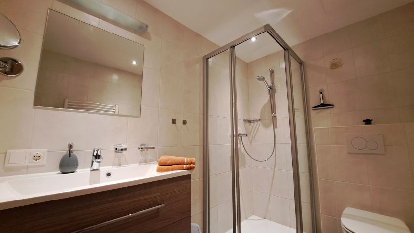 Badezimmer im Appartement Schönangeralm mit Dusche, Waschbecken und WC